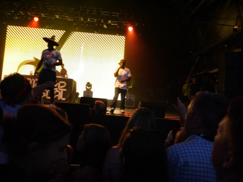 house festival dizee rascal