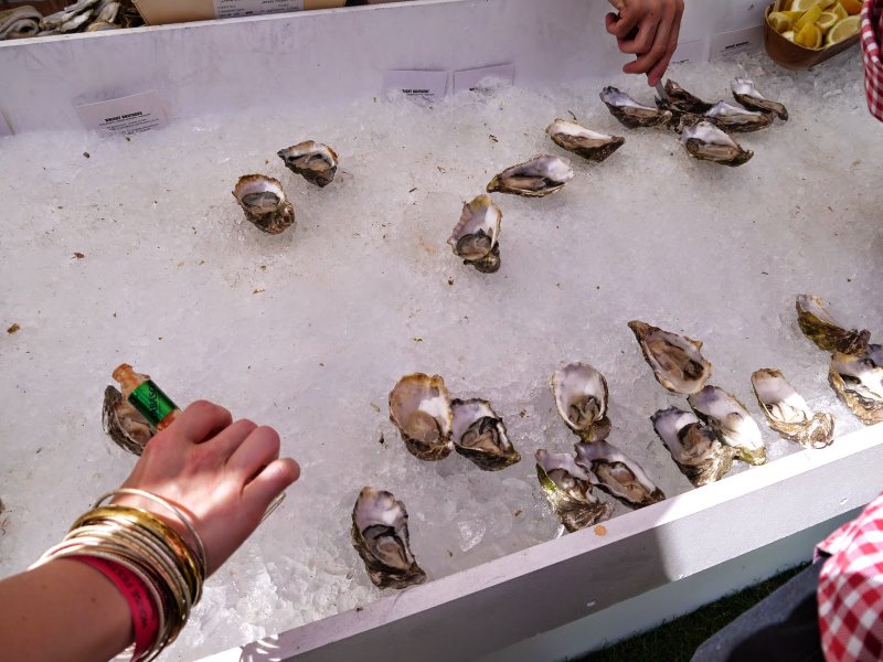house festival oysters