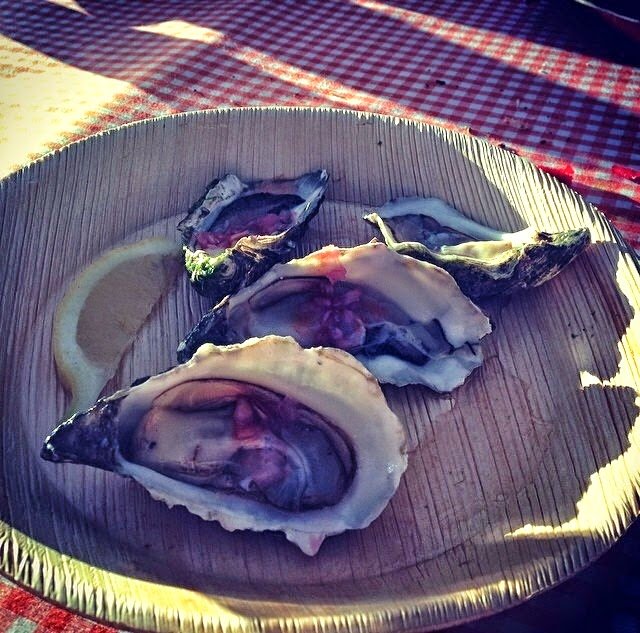 house festival oysters