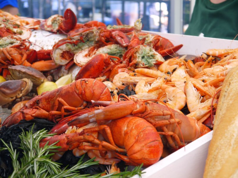 house festival lobster