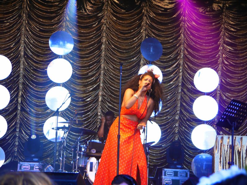 house festival Kelis