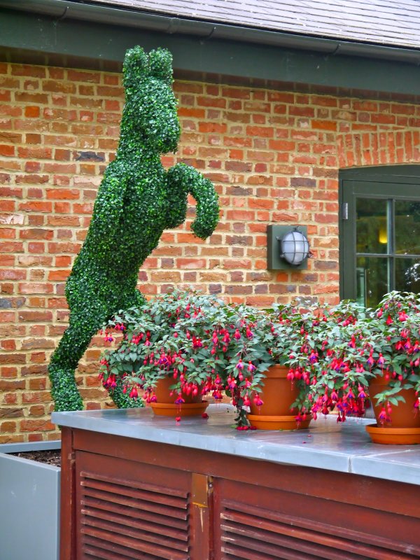 grove hotel gardens