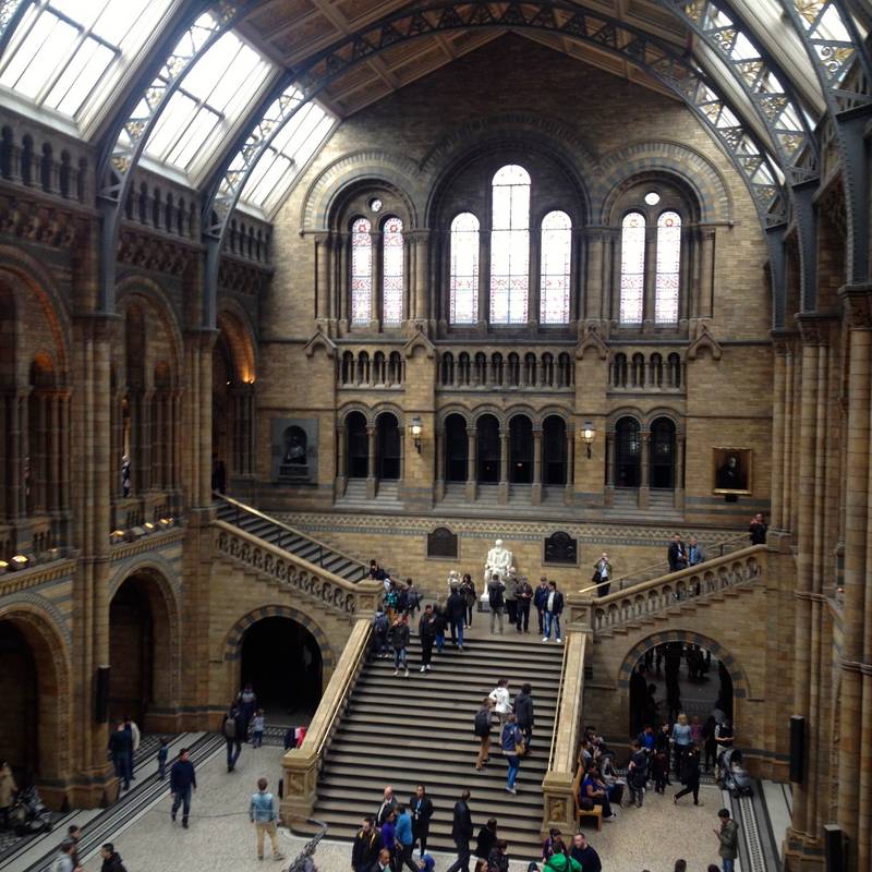 Natural history museum london dinosaurs