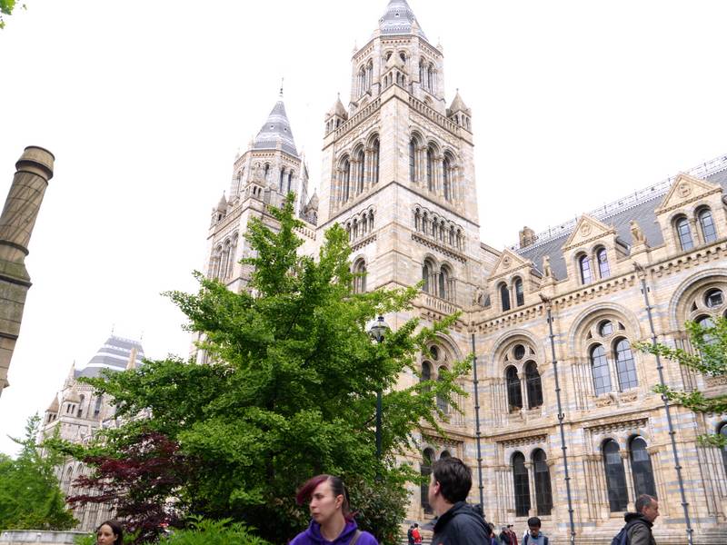 Natural history museum london