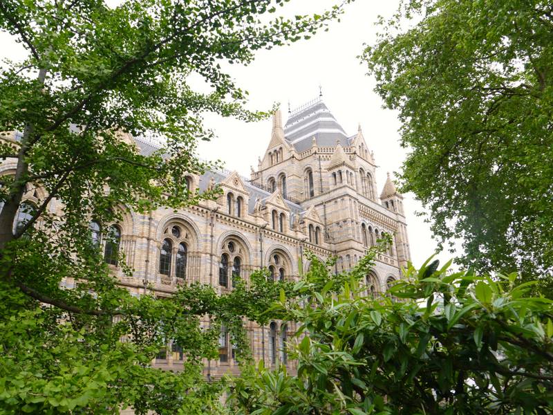 Natural history museum london