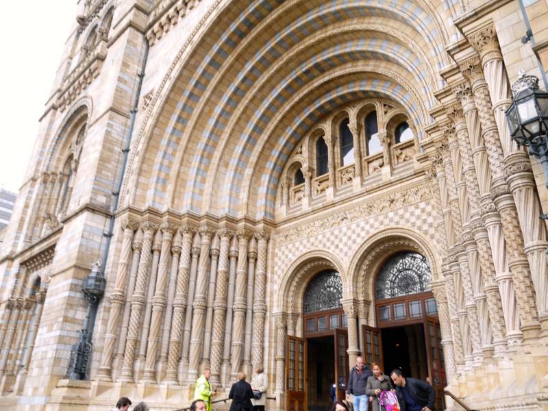 Natural history museum london