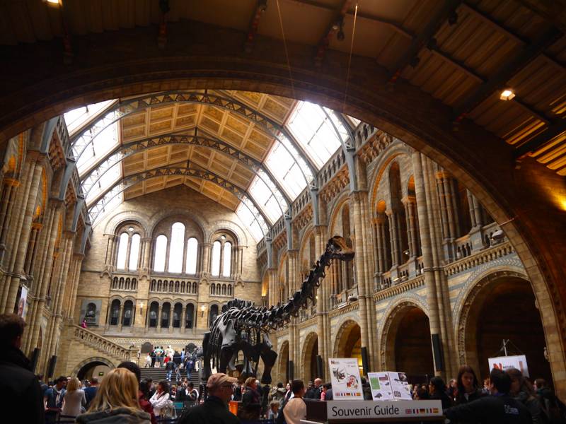 Natural history museum london dinosaurs