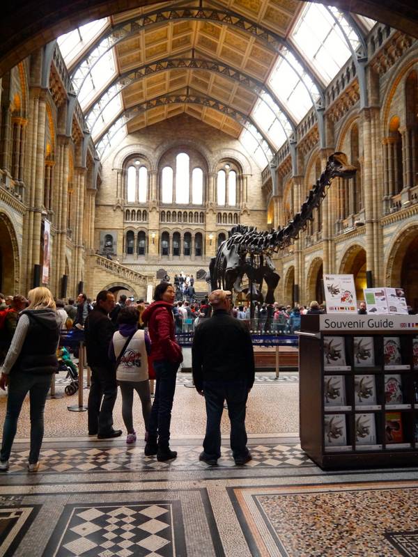 Natural history museum london dinosaurs
