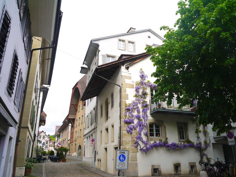 zofingen switzerland architecture