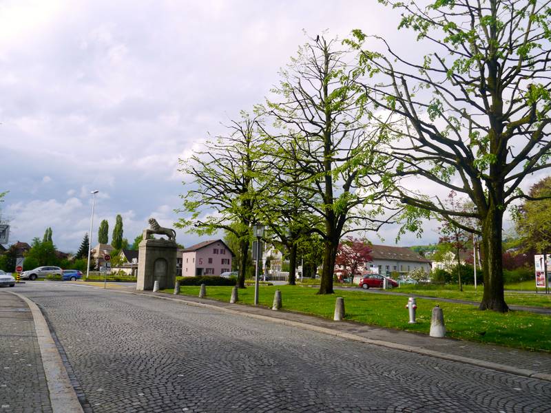 zofingen switzerland