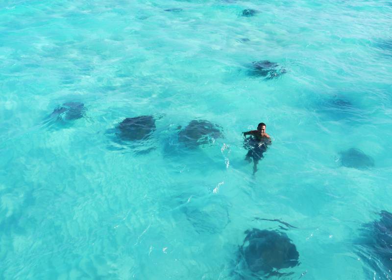 Stingray city Cayman islands