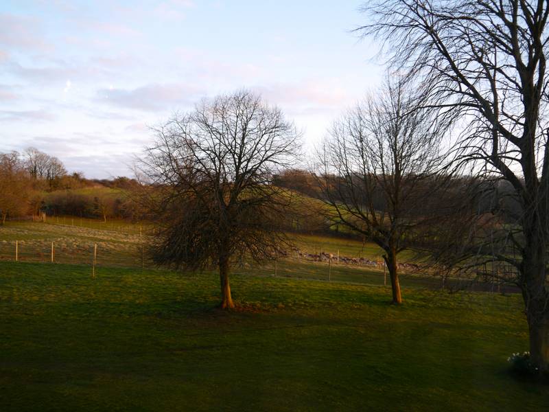 The Pig Hotel Bath