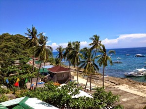 Apo Island Philippines