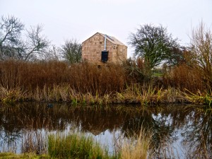 Elmley Nature Reserve