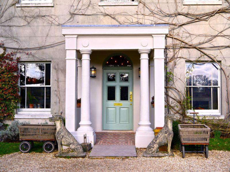 Living Like A Pig - New Forest